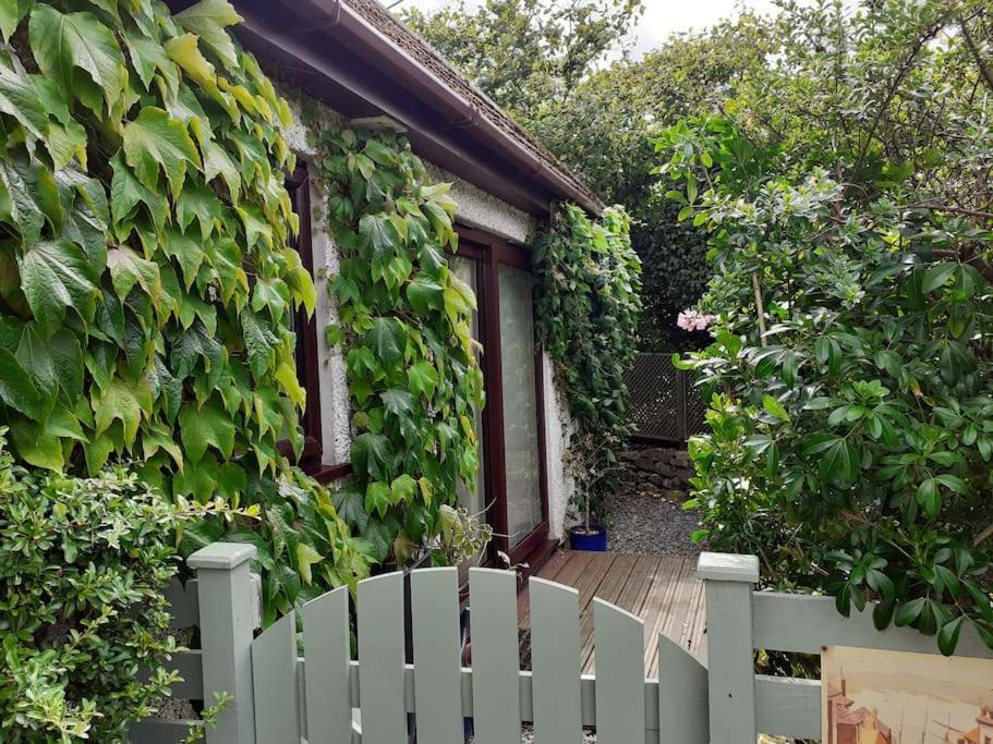 Oakey Orchard - Cosy Apartment In Tamar Valley, Cornwall Saint Dominick Εξωτερικό φωτογραφία