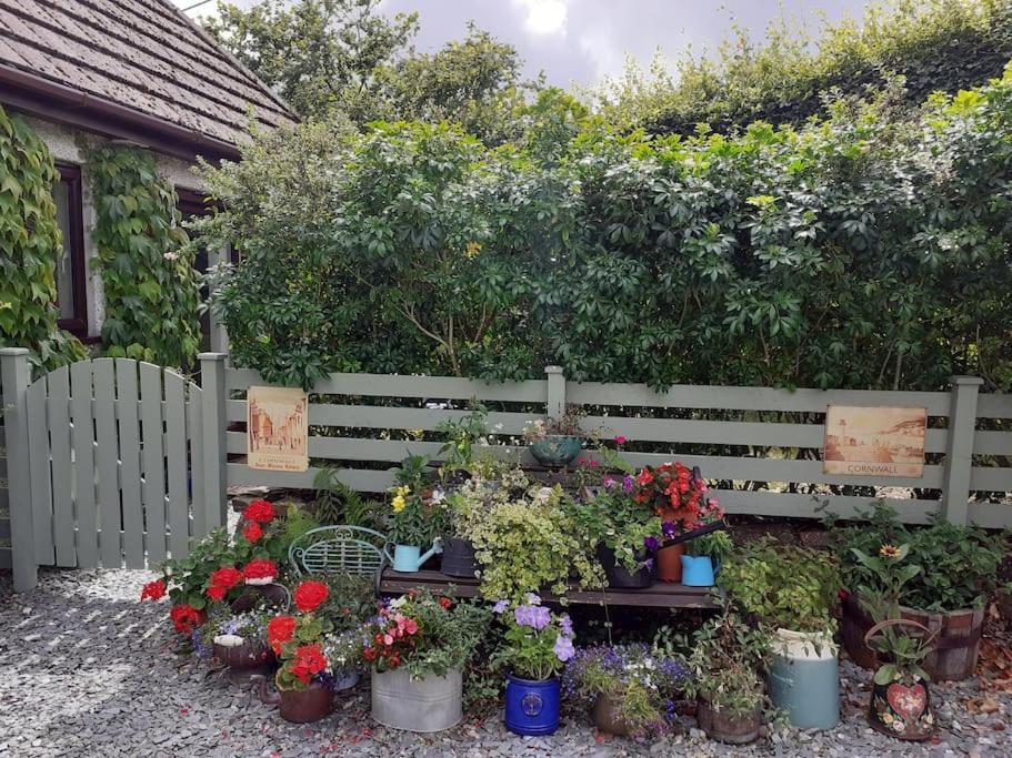 Oakey Orchard - Cosy Apartment In Tamar Valley, Cornwall Saint Dominick Εξωτερικό φωτογραφία